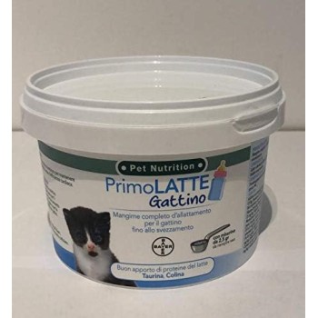 Primo Latte Gattino