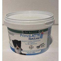 Primo Latte Gattino