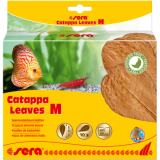 Sera Catappa Leaves M 16-20 cm 10 pz.