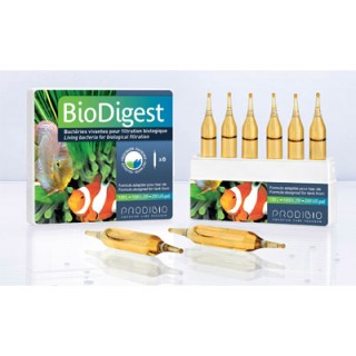 BIOCLEAN 6 fiale  (Biodigest + Bioptim)